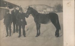 Three Men with Horse in Winter Postcard