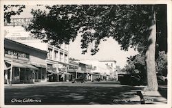 Chico, California Postcard