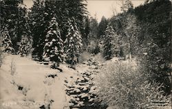 Ruidoso in Winter New Mexico Postcard Postcard Postcard