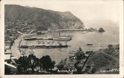 Scenic View of Avalon Santa Catalina Island, CA Crescent Photo Postcard Postcard Postcard