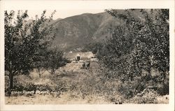 Stock #943145 Thumbnail