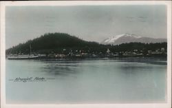 Landscape near Wrangell Postcard