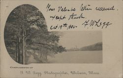 Forest and path along the water edge. Woburn, MA F.W. Legg, Photographer Postcard Postcard Postcard
