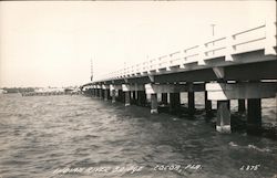 Indian River Bridge Postcard