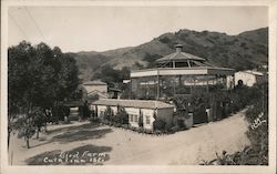 Bird Farm Outdoor Scene Postcard