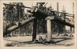 Gay's Lion Farm Postcard