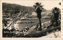 Avalon, Island Photo Santa Catalina Island, CA Postcard Postcard Postcard