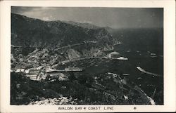 Avalon Bay & Coast Line Postcard