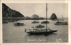 Scene at a Marina, Avalon Postcard