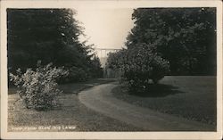 View From Glen Iris Lawn Trees Driveway Postcard