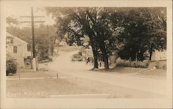 Street Scene Trees Store Power LInes Postcard