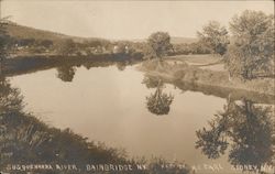 Susquehanna River Bainbridge, NY H.C. Earl Postcard Postcard Postcard