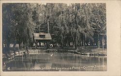 Indian Spring and Sulphuric Pond Clifton Springs, NY Postcard Postcard Postcard