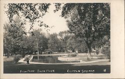 Fish Pond - Back Park Clifton Springs, NY Postcard Postcard Postcard