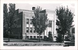 Holt County Court House O'Neill, NE Rose O'Neill Postcard Postcard Postcard