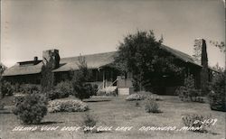 Island View Lodge on Gull Lake Postcard