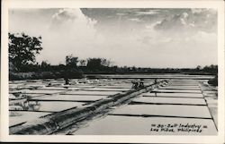 Salt Industry Postcard