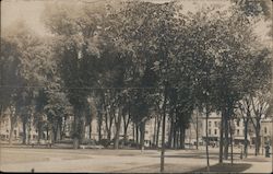 Park with Large Mature Trees and City Buildings in Background Postcard