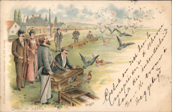 Men releasing Pigeons from cages Birds