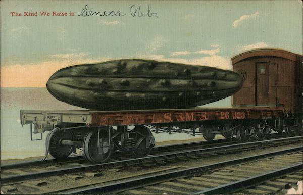 The Kind We Raise in Senca Nebr Exaggeration