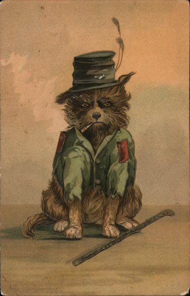 An old dog smoking Germany Dogs