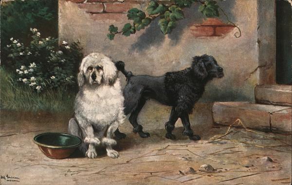 Stray Dogs On The Street