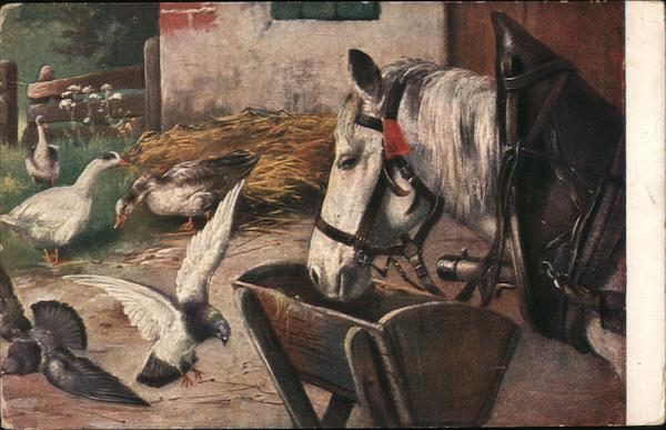 Ducks, Pigeons, & Horse in Barnyard Birds