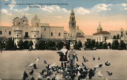 Panama California Exposition San Diego, Cal. Postcard