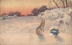 Snowdrift By The Southern Cotton Oil Postcard