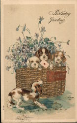 Birthday Greetings Puppies in a Basket Postcard