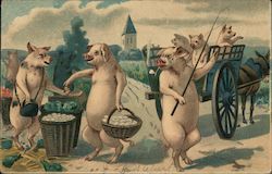 City Of Pigs - Trading On The Road Postcard