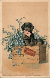 A Dog Sitting on a Wood Crate Dogs Postcard Postcard Postcard