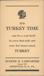 It's Turkey Time - Eugene E. Lamparter Postcard