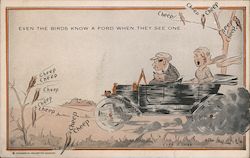 Even The Birds Know A Ford When They See One Postcard