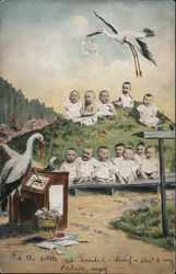 Multiple Babies Waiting to be Delivered by Stork Postcard Postcard Postcard
