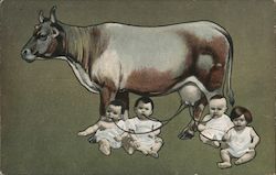 One cow feeds multiple babies Postcard