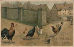 Rooster and Chickens and baby chicks in a yard Birds Postcard Postcard Postcard