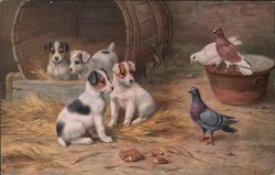 Puppies looking at doves Postcard