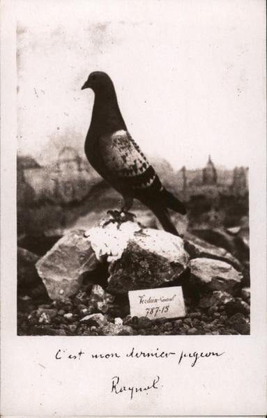 C'est mon dernier pigeon Vaux-Devant-Damloup France