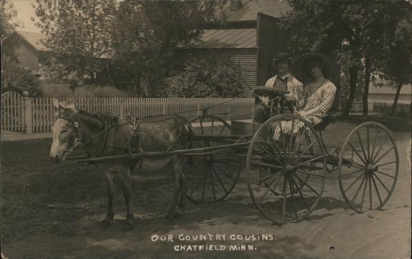 Our Country Cousins Couple in Donkey Drawn Carriage Chatfield Minnesota