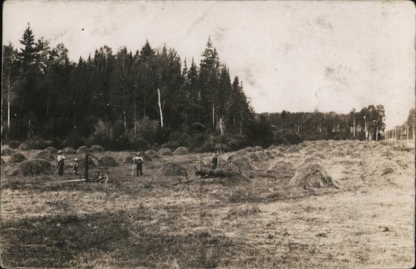 Farmers, Haying Scene Cook Minnesota