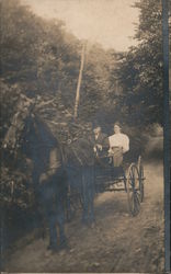 Couple in Horse & Buggy Pennsylvania Horse-Drawn Postcard Postcard Postcard