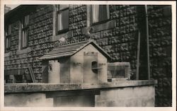 Pigeon Birdhouse and Cage Postcard