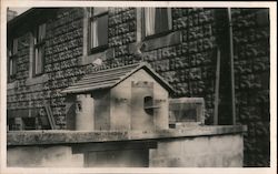 Pigeon Birdhouse and Cage Birds Postcard Postcard Postcard