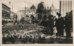Plaza San Marco, St. Mark's, Pigeons Venice, Italy Postcard Postcard 