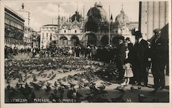 Plaza San Marco, St. Mark's, Pigeons Postcard