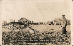 Grasshopper The old grey mare she ain't what she used to be Postcard