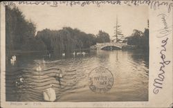 Beacon Hill Park Postcard
