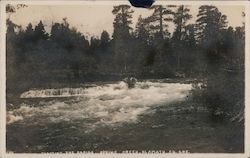 Shooting the Rapids Spring Creek Postcard