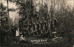 A Day at the Park with Deer Hunting Postcard